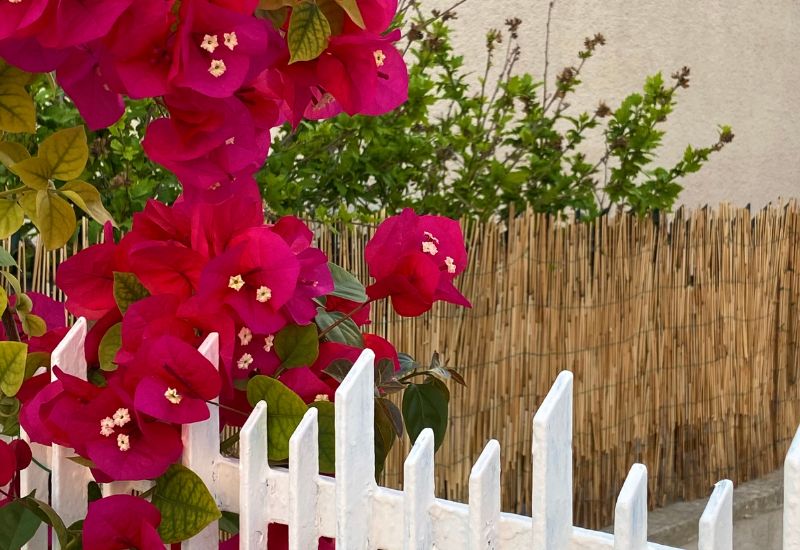 ingresso-esterno-casa-lu-sule