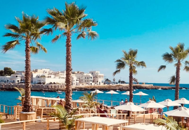 palme-santa-maria-al-bagno